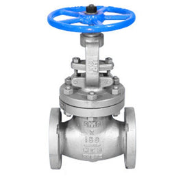 2-1/2" Globe Valve - SM150GBV02.5