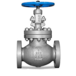 2" Globe Valve - SM300GBV02.0