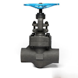 1" Globe Valve - SM825CT01.0
